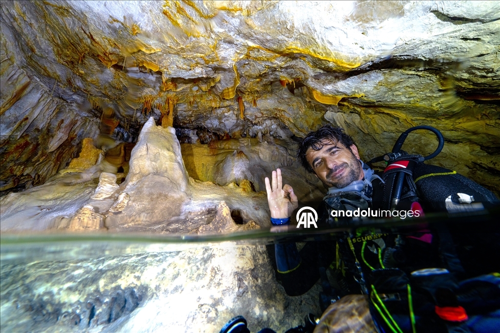 Дайверы запечатлели уникальное биоразнообразие глубин Восточного Средиземноморья 1