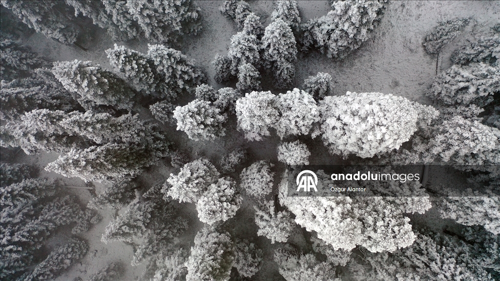 Ilgaz Dağı'nda kar ve sis etkili oldu