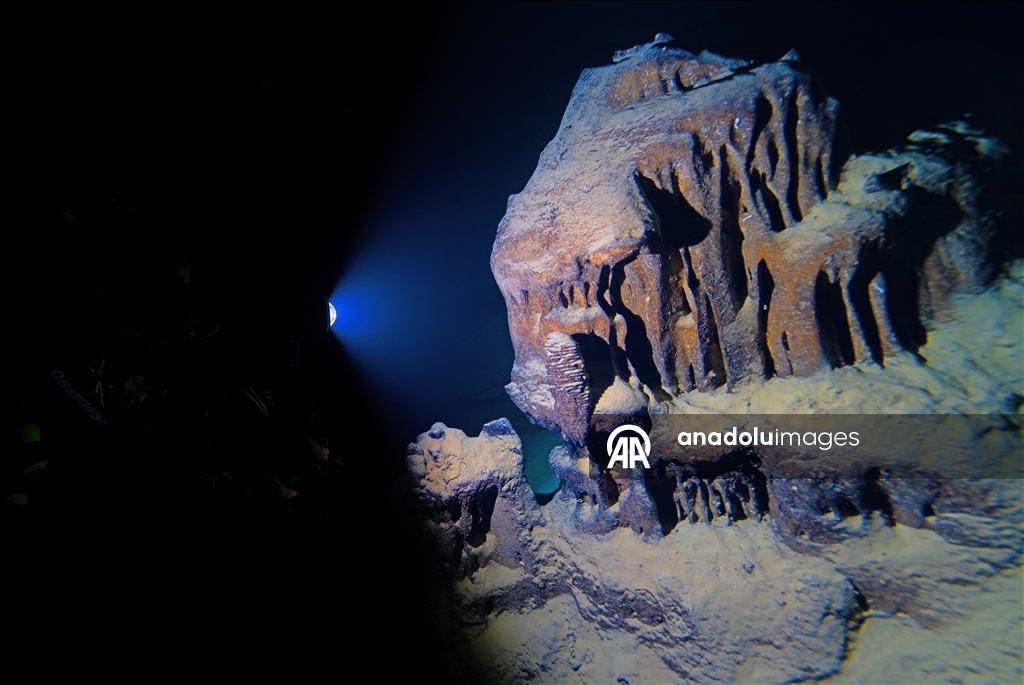 Дайверы запечатлели уникальное биоразнообразие глубин Восточного Средиземноморья 22