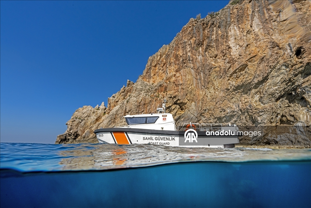 Дайверы запечатлели уникальное биоразнообразие глубин Восточного Средиземноморья 31