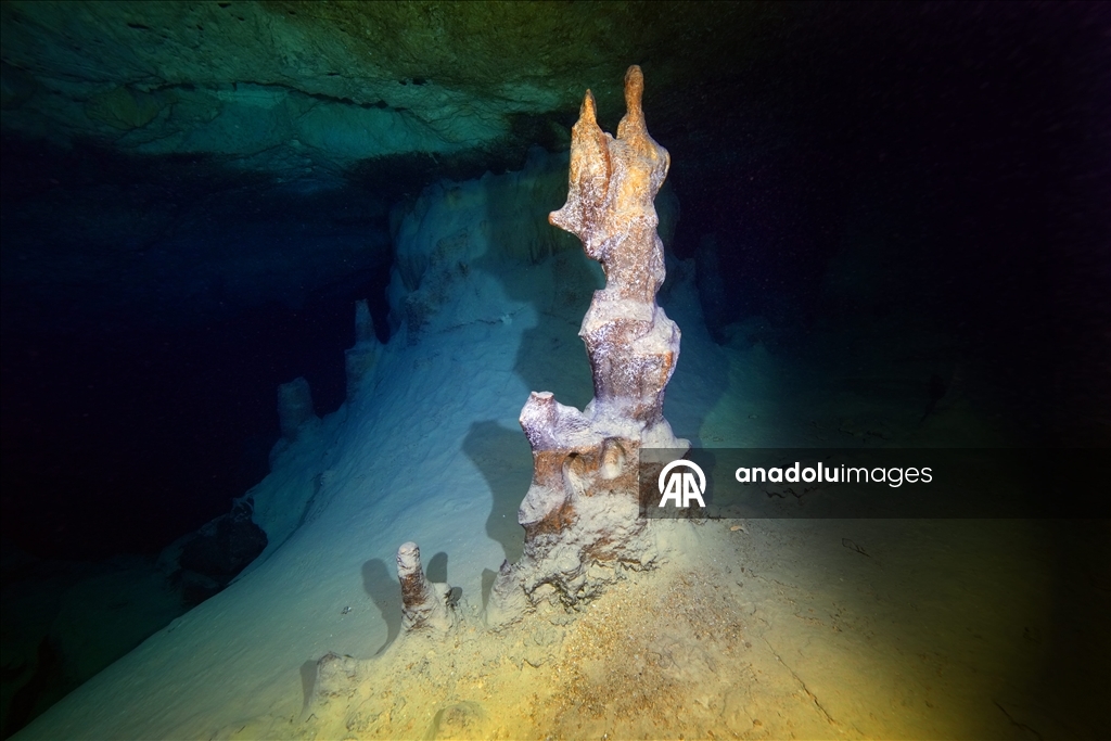 Дайверы запечатлели уникальное биоразнообразие глубин Восточного Средиземноморья 17