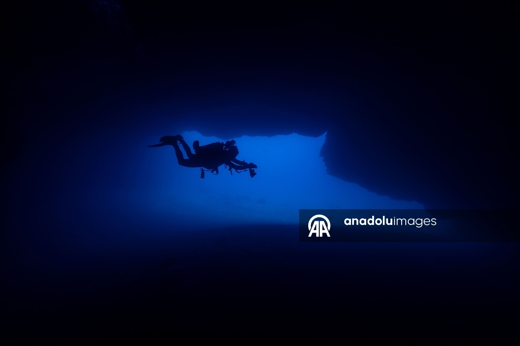 Дайверы запечатлели уникальное биоразнообразие глубин Восточного Средиземноморья 12