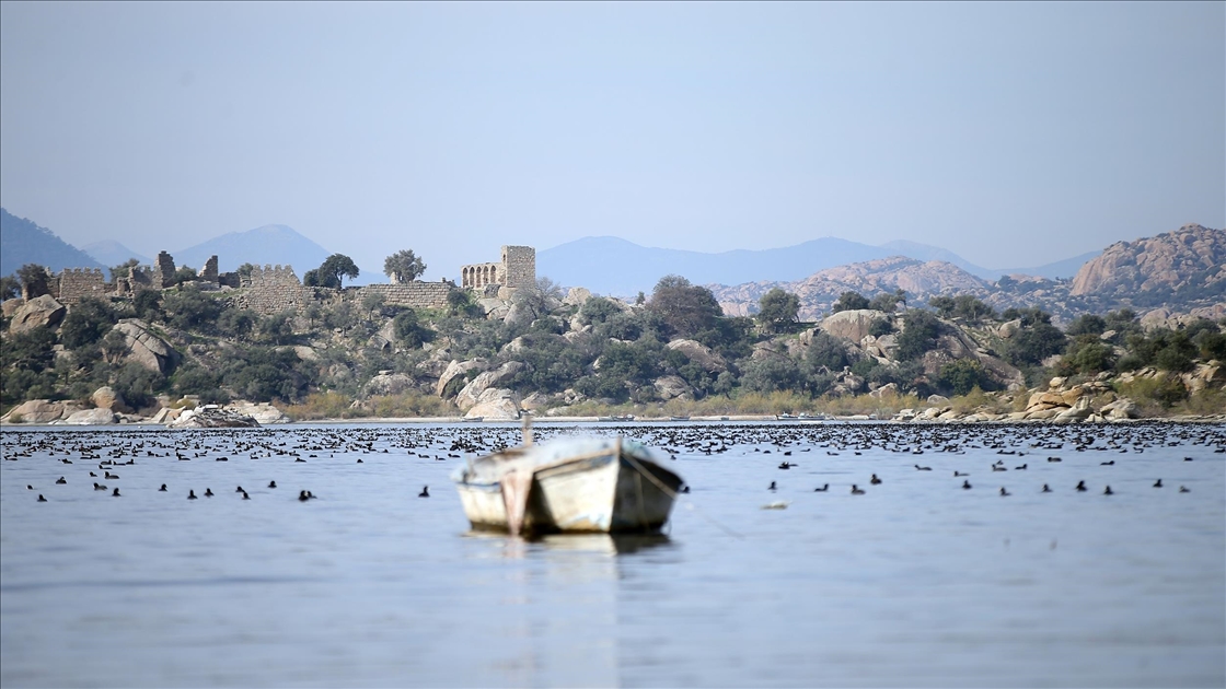 Yağışlarla nefes alan Bafa Gölü'nde doğal yaşam yeniden canlandı