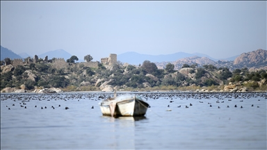 Yağışlarla nefes alan Bafa Gölü'nde doğal yaşam yeniden canlandı