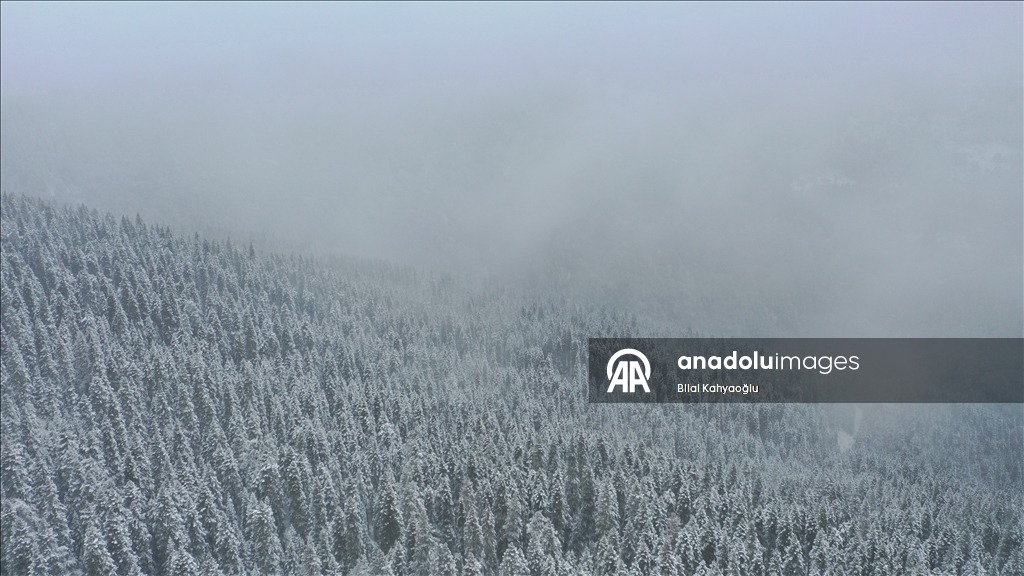 Yurduntepe Kayak Merkezi'nde kar yağışı etkili oldu