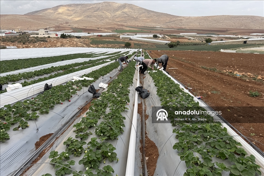 يبتلع الماء والغذاء بالضفة.. مخاوف فلسطينية من جدار إسرائيلي جديد