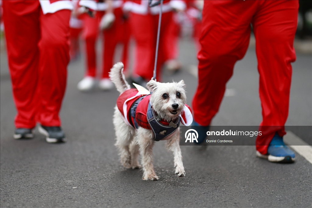 بالزي الأحمر.. مكسيكو سيتي تحتضن "سباق بابا نويل"