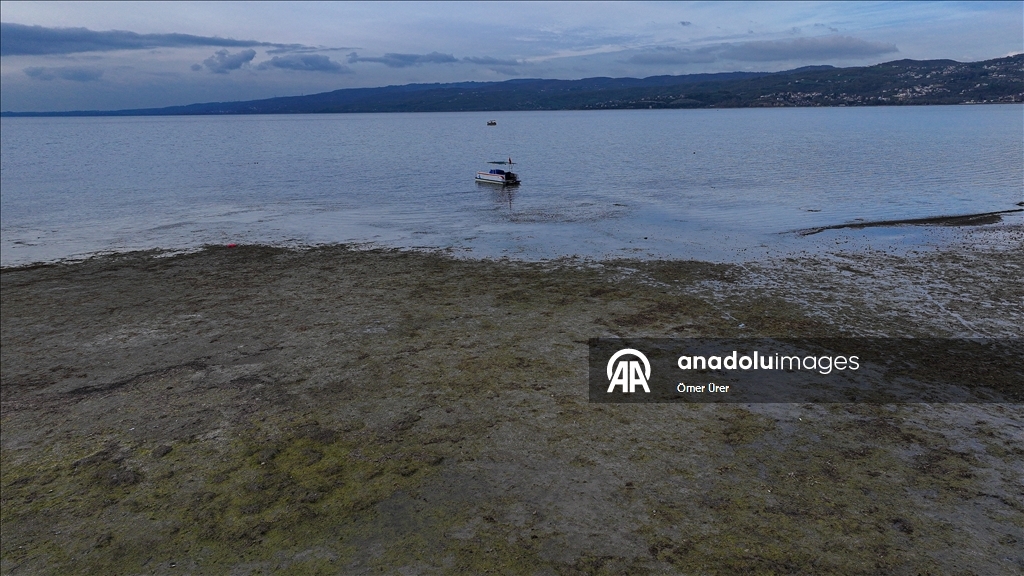 Sapanca Lake, described as the ‘lifeline of Eastern Marmara,’ under threat due to drought