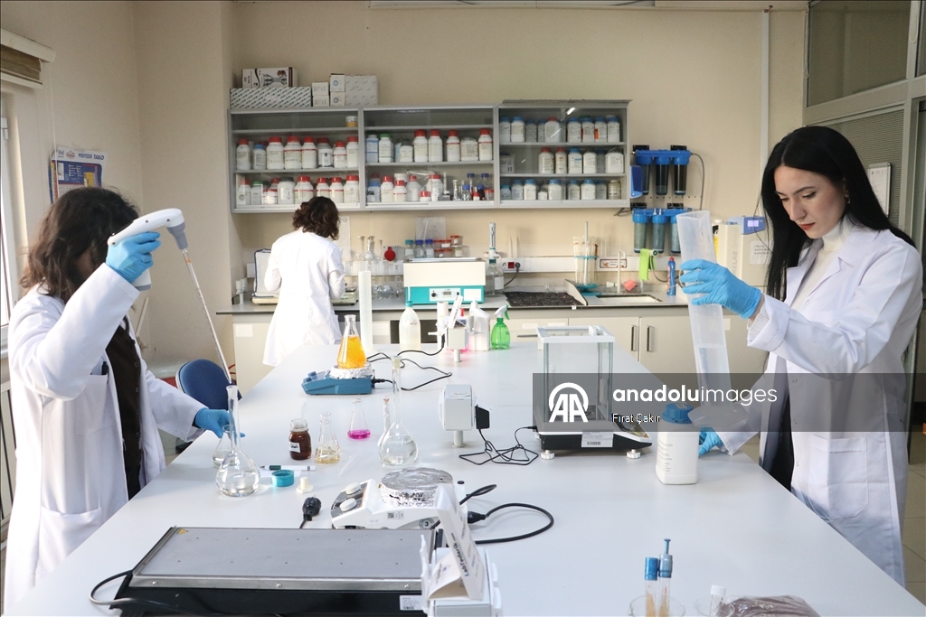 باحثون أتراك ينتجون زيتا أحادي الخلية من بقايا العنب
