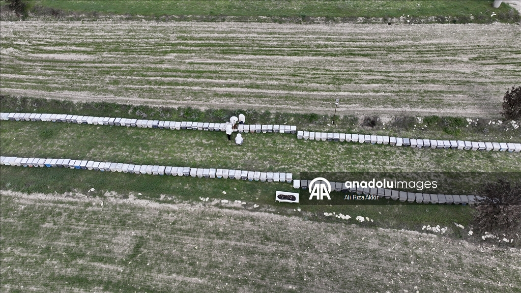 Seydikemerli genç baba mesleği arıcılığı sürdürmek için çalışıyor