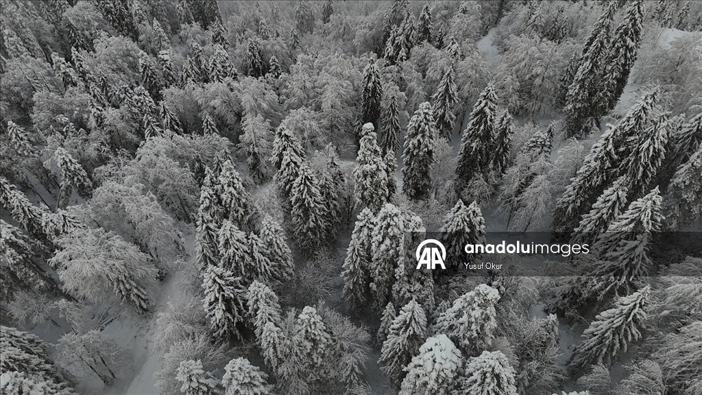 Artvin'de kar yağışı etkili oluyor