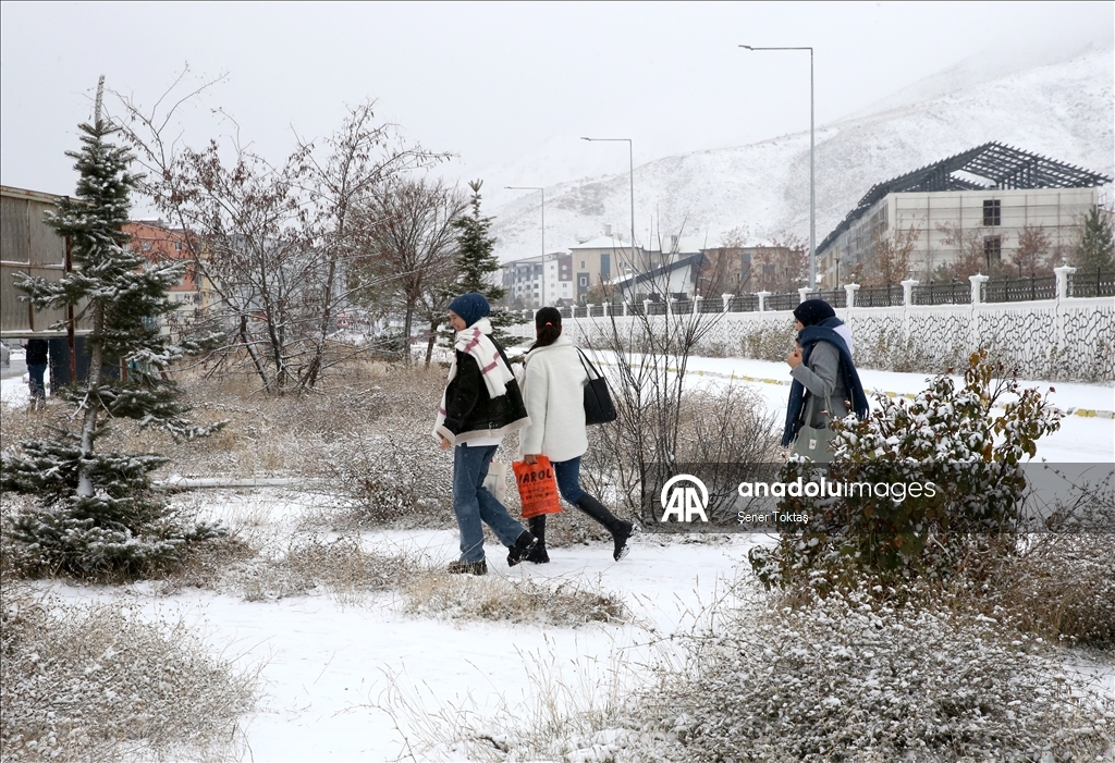 Bitlis'te kar yağışı etkili oldu