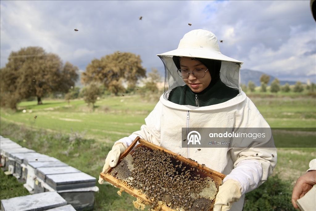 Seydikemerli genç baba mesleği arıcılığı sürdürmek için çalışıyor
