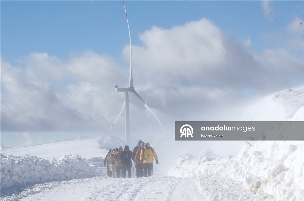 Rotayên meşê yên li Mûşê ji bo xizmeta geştiyariyê têne dijîtalîzekirin