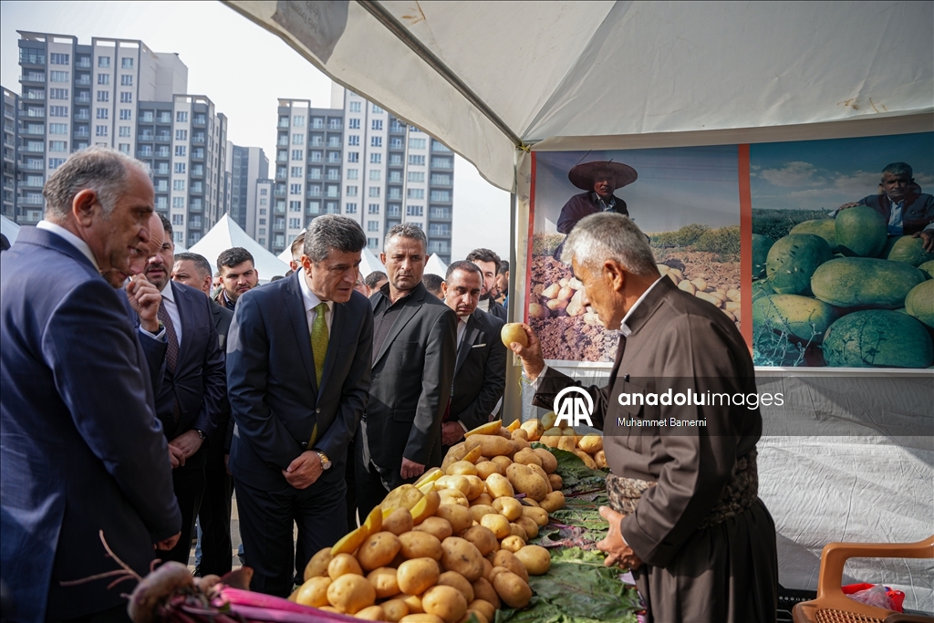 Duhok’ta Patates Festivali düzenlendi