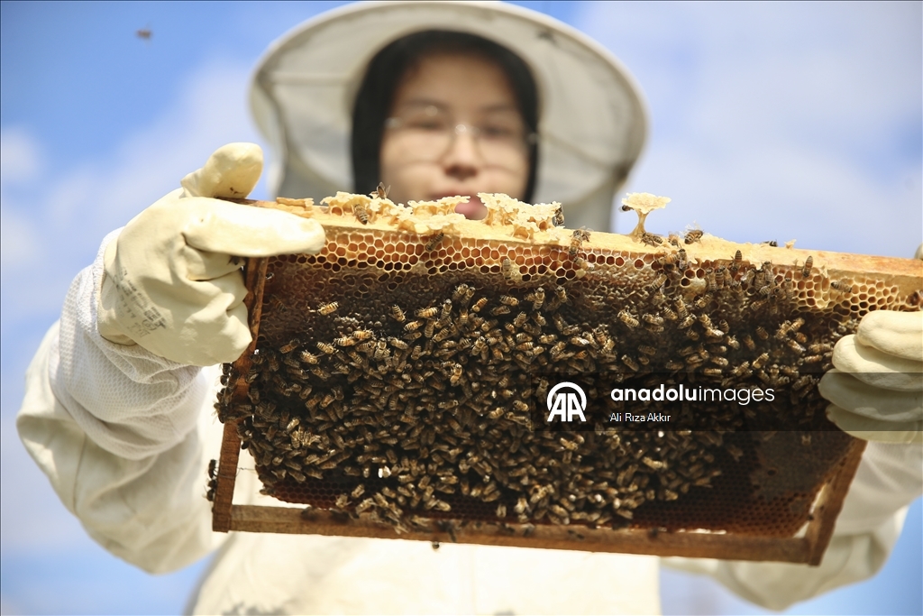 Seydikemerli genç baba mesleği arıcılığı sürdürmek için çalışıyor