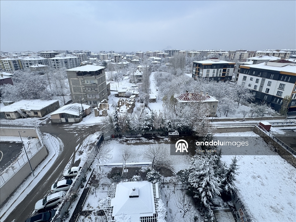 Van'da kar yağışı etkili oldu