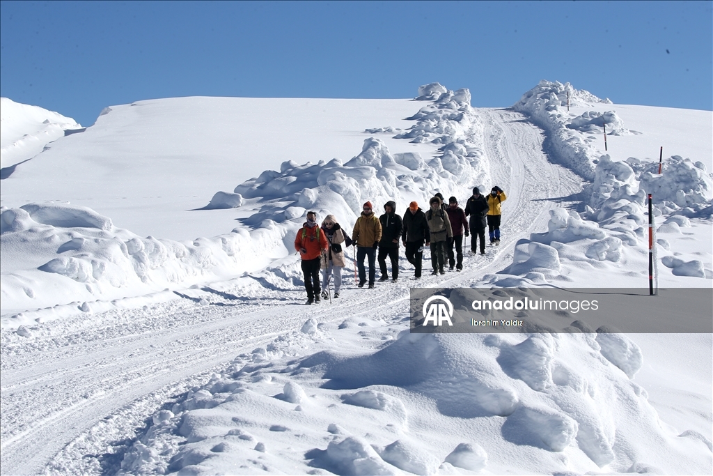 Rotayên meşê yên li Mûşê ji bo xizmeta geştiyariyê têne dijîtalîzekirin