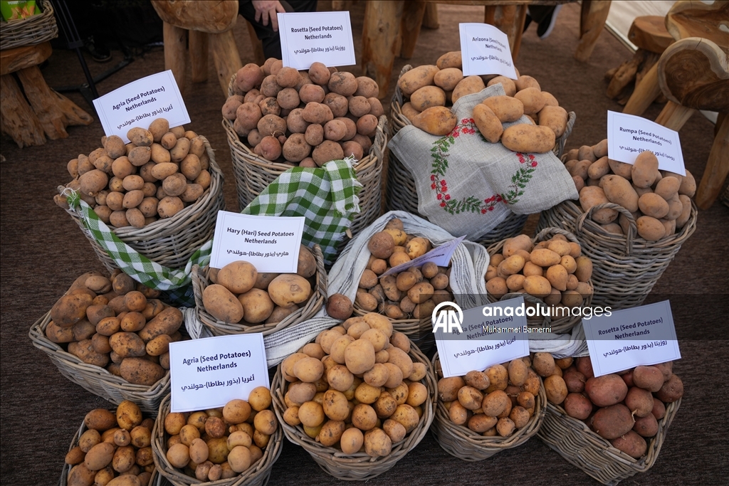 Duhok’ta Patates Festivali düzenlendi