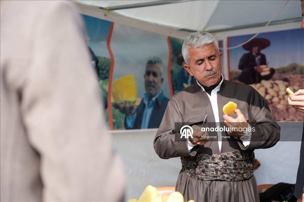 Duhok’ta Patates Festivali düzenlendi
