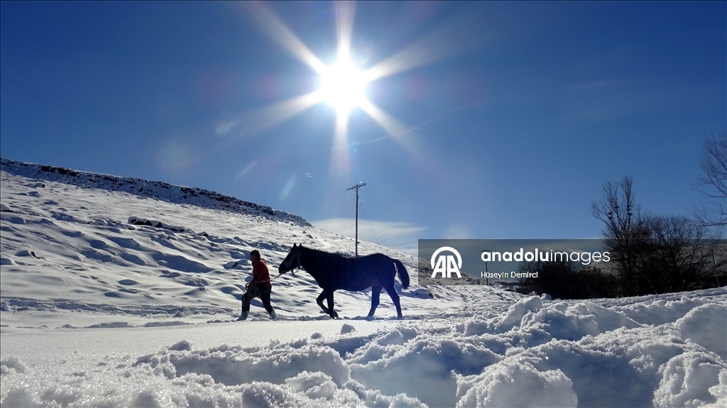 Li Qersê heywandar di vê sermaya ku binê sifirê 10 pileyan da heywanên xwe xwedî dikin