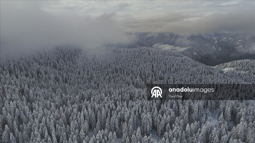 Artvin'de kar yağışı etkili oluyor