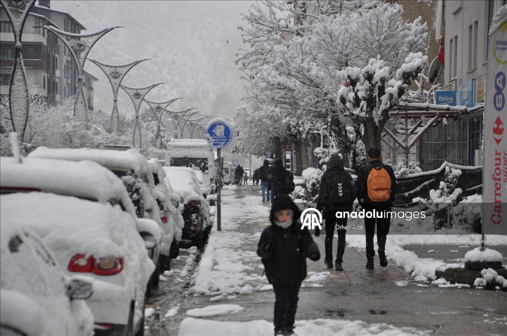 Bitlis'te kar yağışı