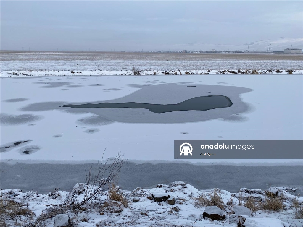 Ardahan'da kar ve soğuk hava etkili oldu