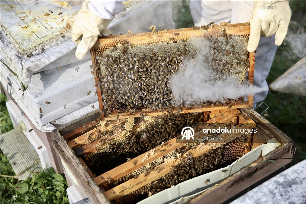 Seydikemerli genç baba mesleği arıcılığı sürdürmek için çalışıyor