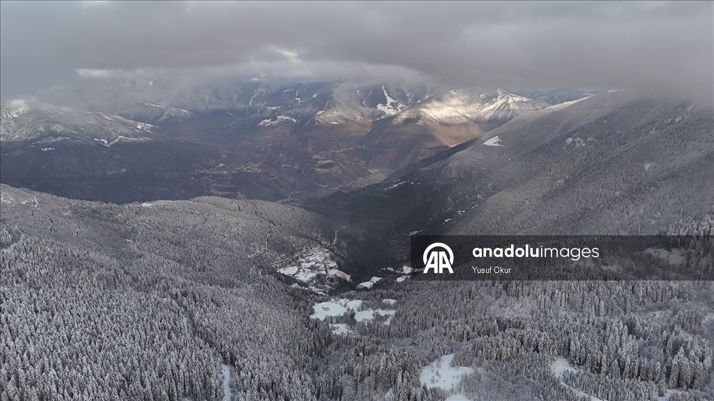 Artvin'de kar yağışı etkili oluyor