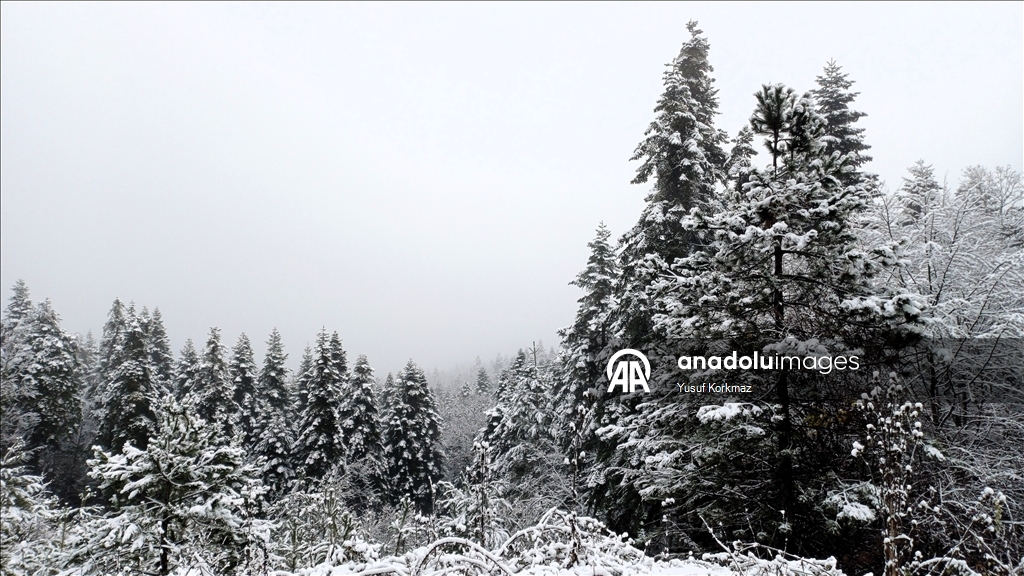 Karabük'ün yüksek kesimlerinde kar yağışı etkisini sürdürüyor