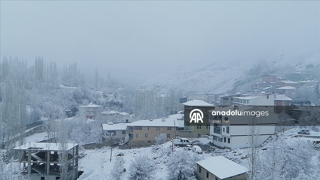 Van'da kar etkili oldu