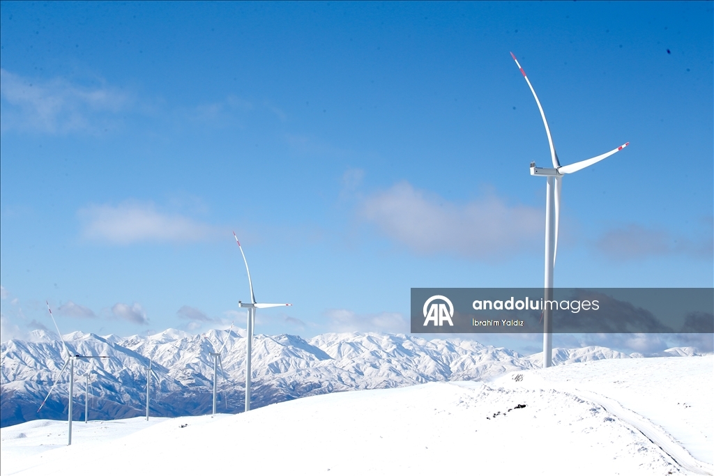 Rotayên meşê yên li Mûşê ji bo xizmeta geştiyariyê têne dijîtalîzekirin