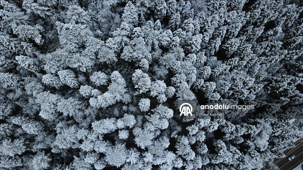 Karabük'ün yüksek kesimlerinde kar yağışı etkisini sürdürüyor