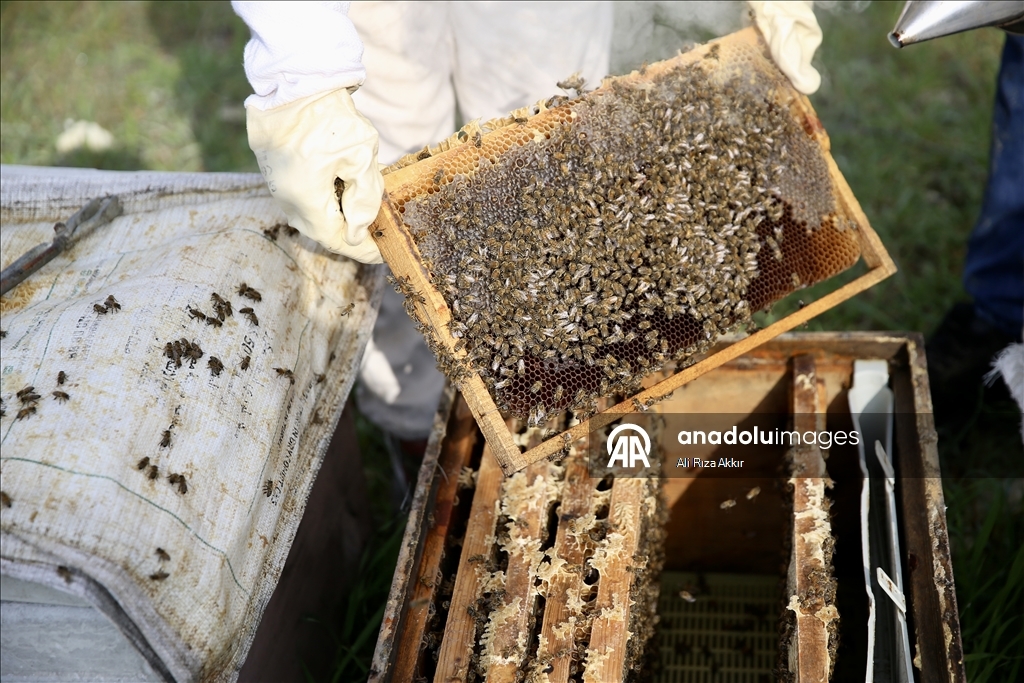 Seydikemerli genç baba mesleği arıcılığı sürdürmek için çalışıyor