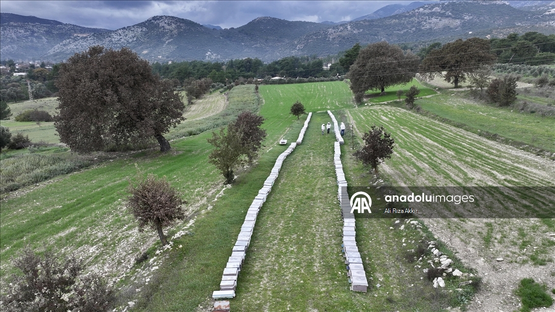 Seydikemerli genç baba mesleği arıcılığı sürdürmek için çalışıyor