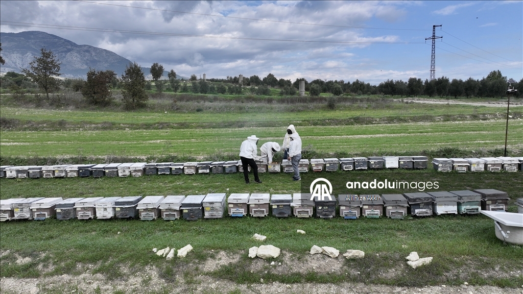 Seydikemerli genç baba mesleği arıcılığı sürdürmek için çalışıyor