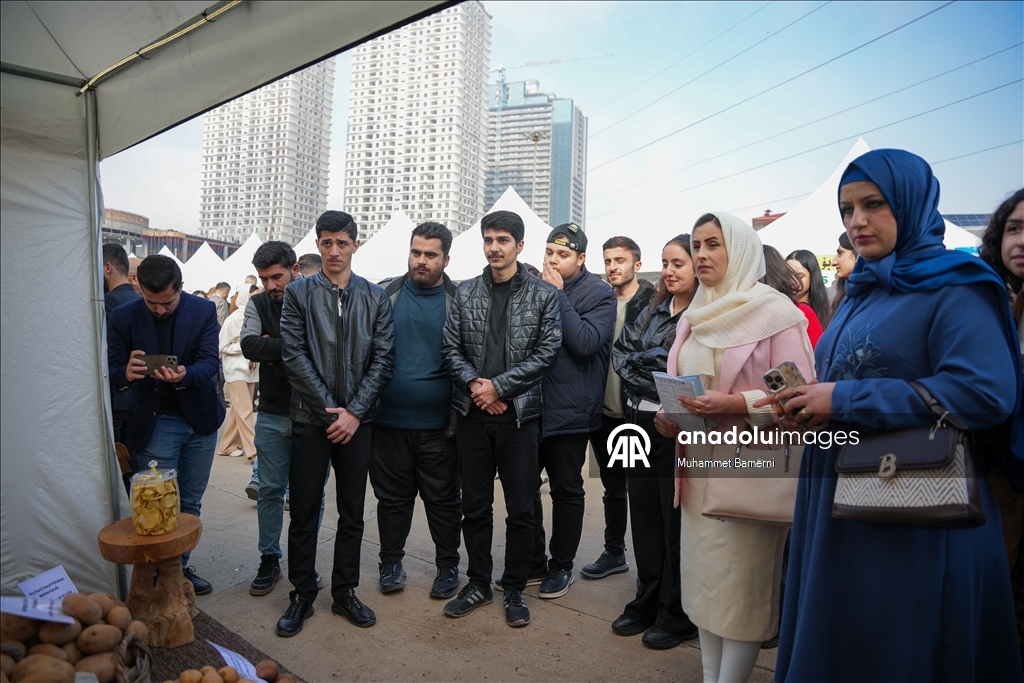 Duhok’ta Patates Festivali düzenlendi