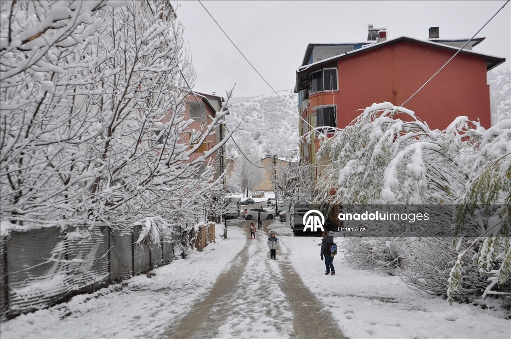 Bitlis'te kar etkili oldu