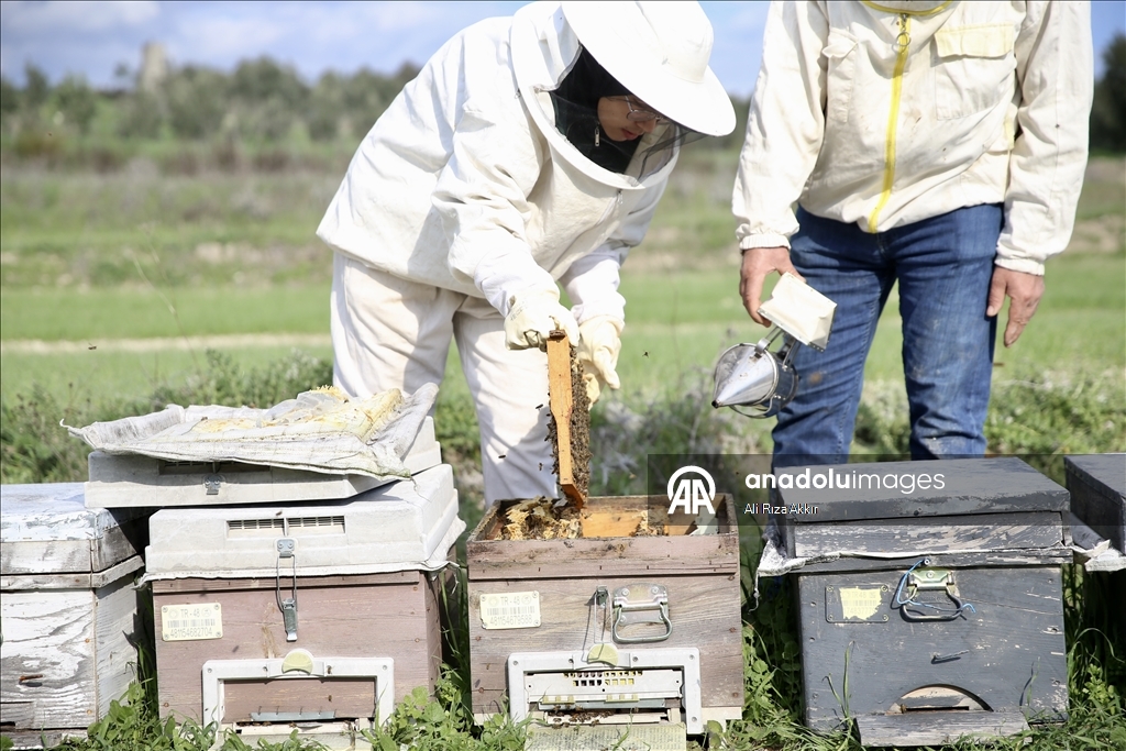 Seydikemerli genç baba mesleği arıcılığı sürdürmek için çalışıyor
