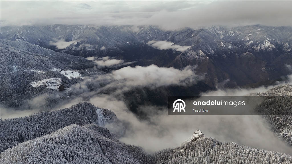 Artvin'de kar yağışı etkili oluyor