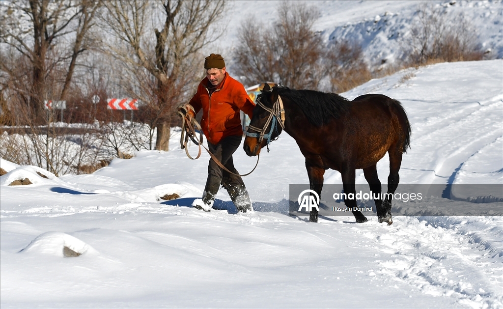 Li Qersê heywandar di vê sermaya ku binê sifirê 10 pileyan da heywanên xwe xwedî dikin