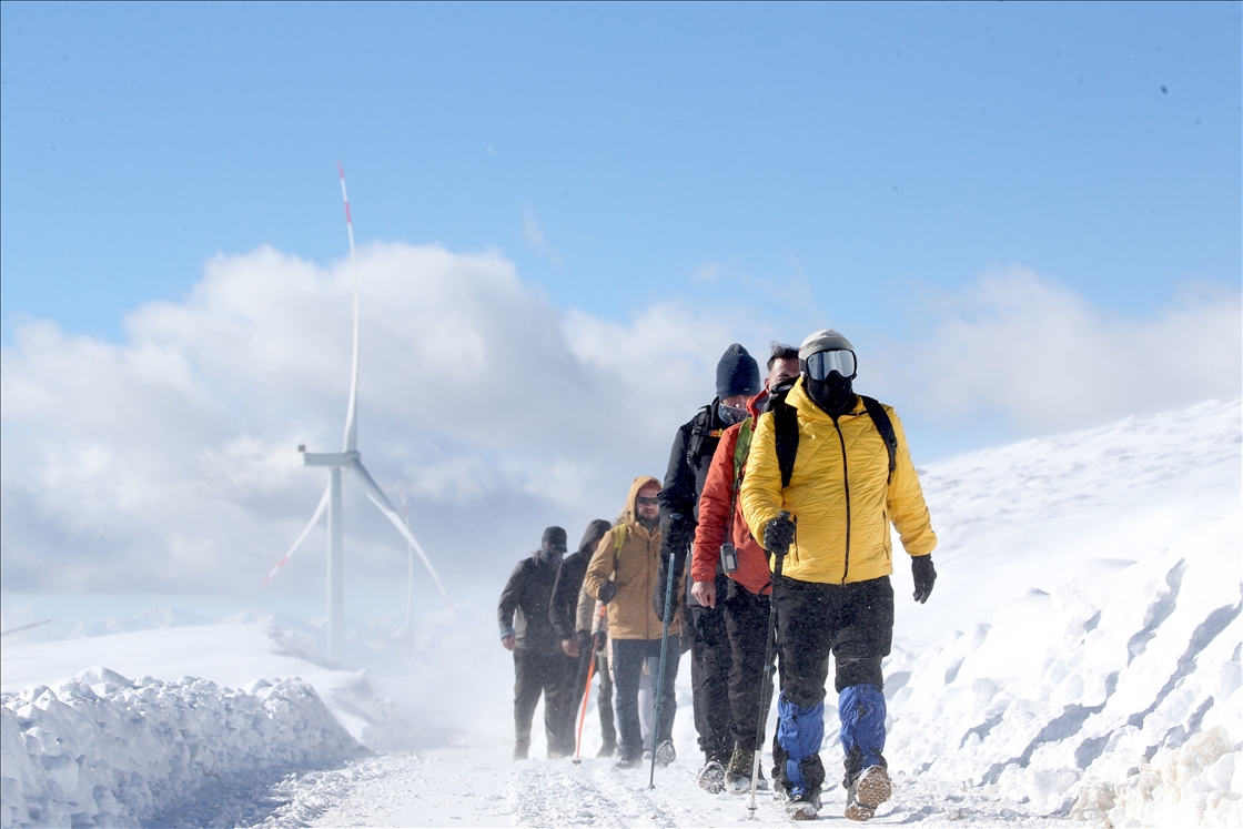 Rotayên meşê yên li Mûşê ji bo xizmeta geştiyariyê têne dijîtalîzekirin