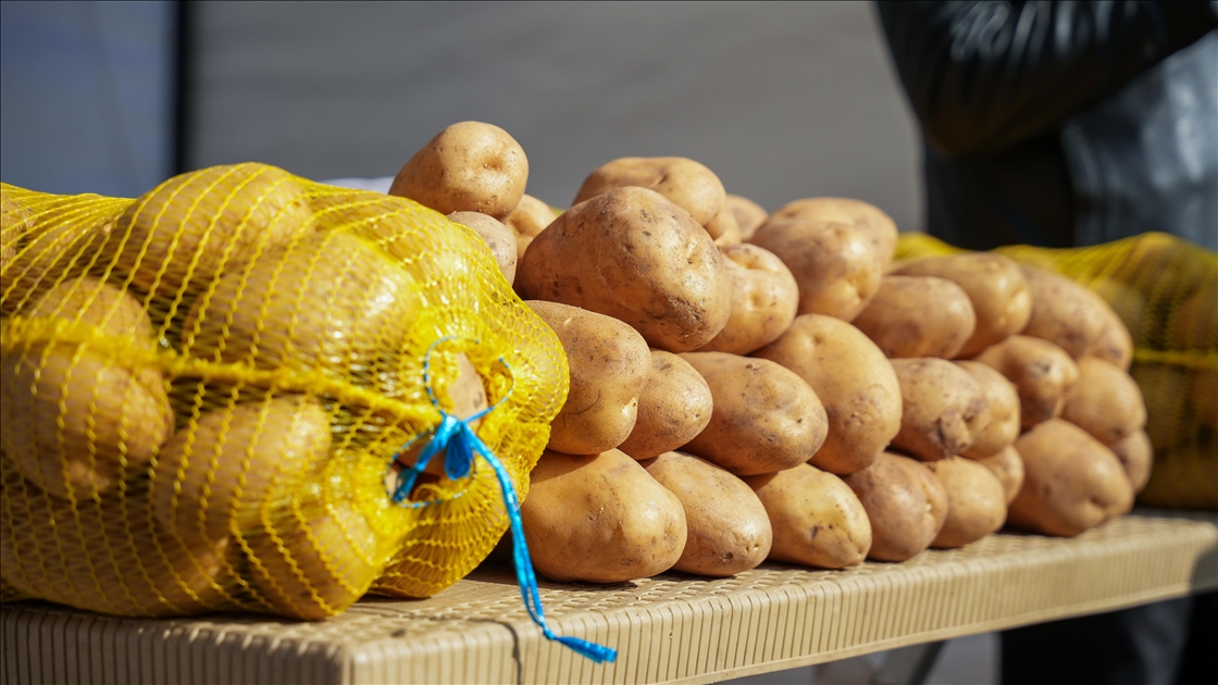 First Potato Festival brings together farmers, companies, restaurants in Duhok, Iraq