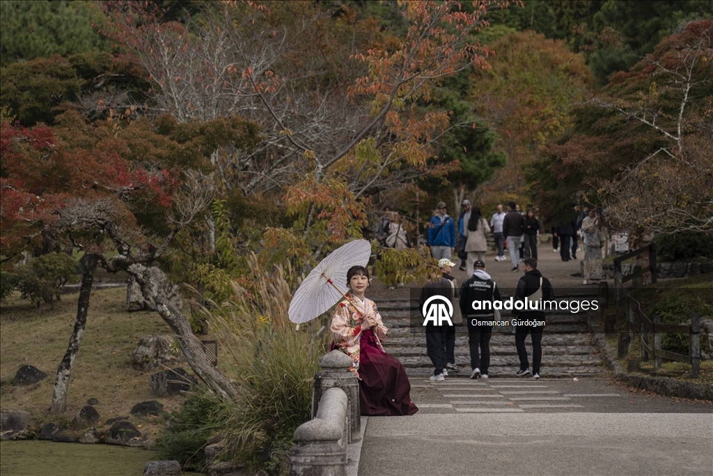 Stili i veshjes Kimono, një traditë e gjallë në Japoni