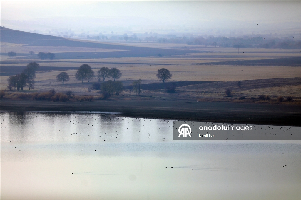 Водохранилище Чип в провинции Элязыг принимает тысячи перелетных птиц самых разных видов