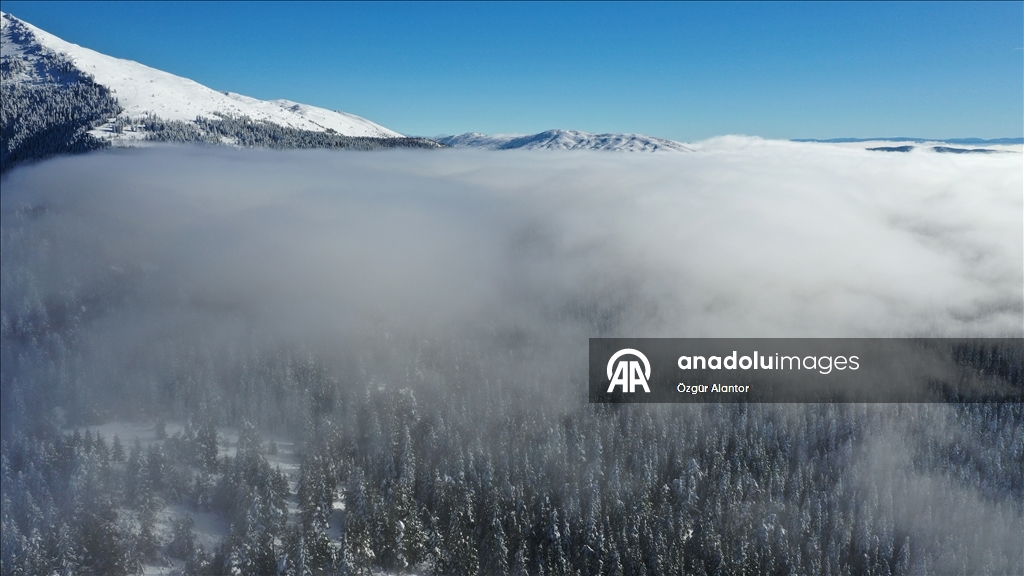 Beyaz örtüyle kaplanan Küre Dağları dron ile görüntülendi