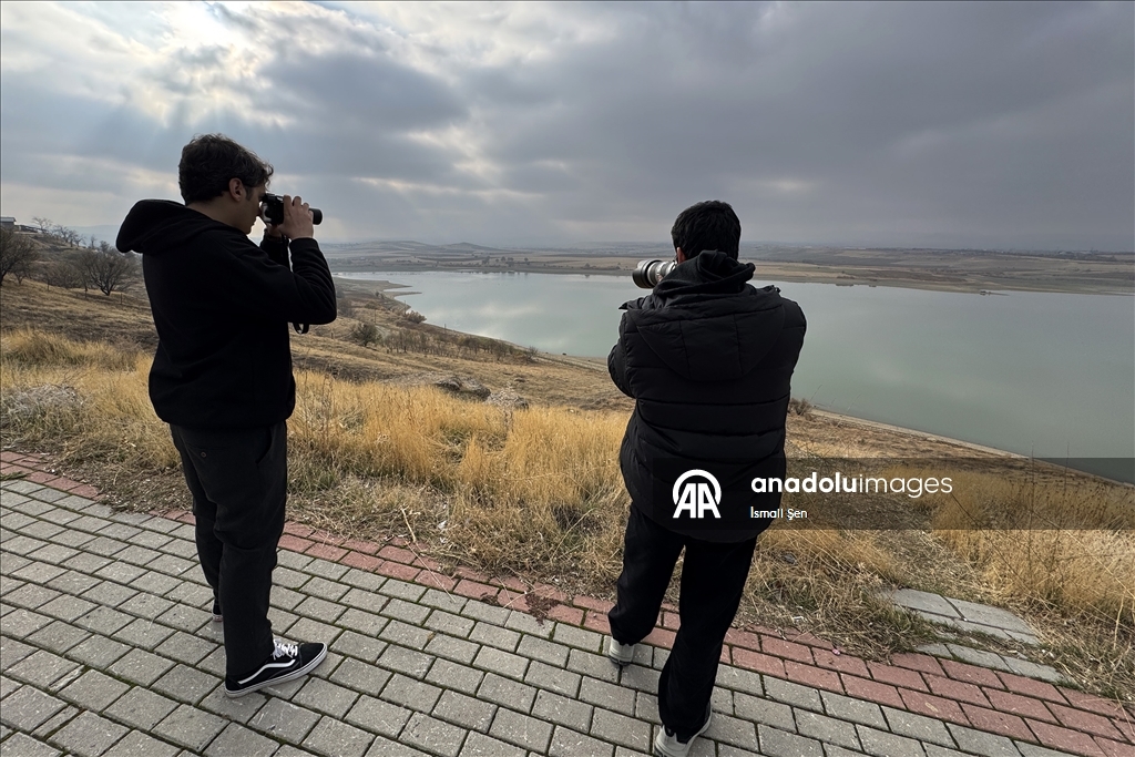 Водохранилище Чип в провинции Элязыг принимает тысячи перелетных птиц самых разных видов