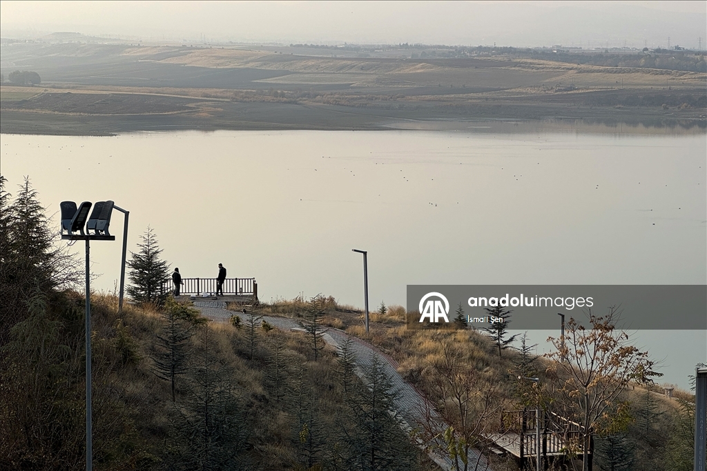 Водохранилище Чип в провинции Элязыг принимает тысячи перелетных птиц самых разных видов