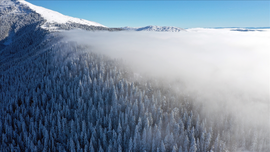 Beyaz örtüyle kaplanan Küre Dağları dron ile görüntülendi